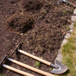 Aménagement Paysager pour un Jardin d’Exception à Matoury